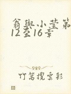 翁与小莹第十部12至16章