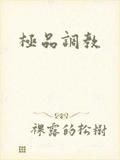 极品调教