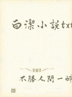 白洁小说txt