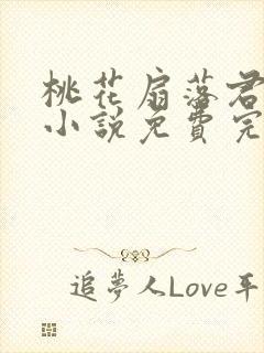 桃花扇落君不还小说免费完整版封面