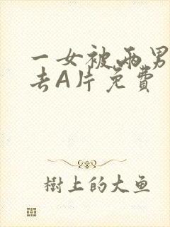 一女被两男桶进去A片免费