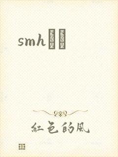 smhС˵