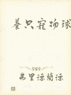 养只宠物球封面