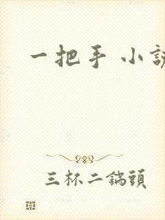 一把手 小说