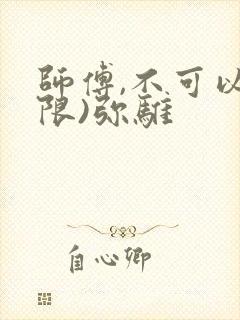 师傅,不可以(限)弥骓封面