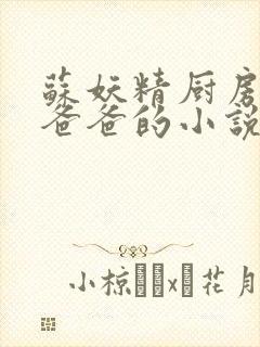 苏妖精厨房爹爹爸爸的小说