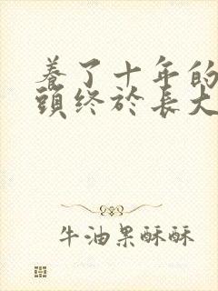 养了十年的小丫头终于长大了