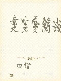 意外成结小说全文免费阅读笔趣阁下载无弹窗封面