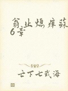 翁止熄痒苏玥第6章