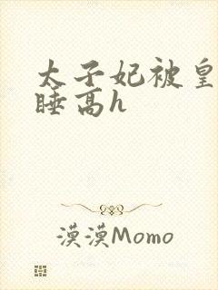 太子妃被皇上强睡高h