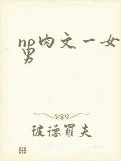 np肉文一女多男