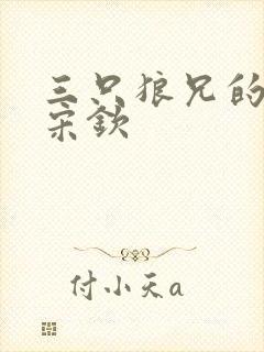 三只狼兄的宠妻宋钦