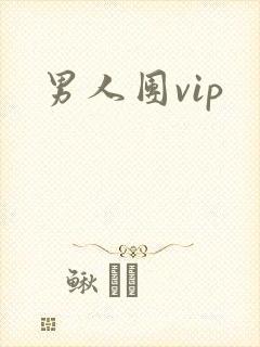 男人团vip封面
