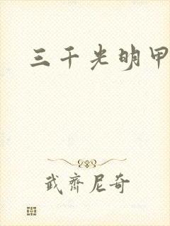 三千光明甲