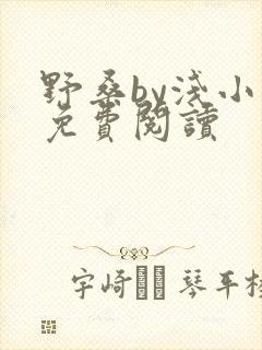 野桑by浅小说免费阅读