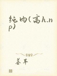 纯肉(高h.np)
