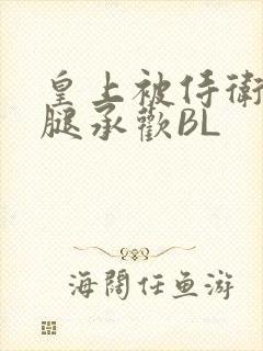 皇上被侍卫抵开腿承欢BL封面