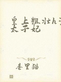 皇上粗壮h灌满太子妃