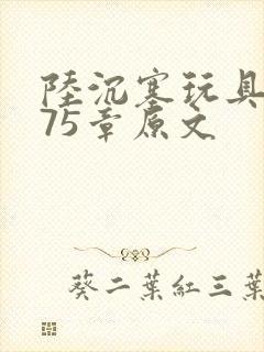 陆沉塞玩具高速75章原文封面