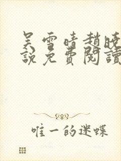 吴雪晴赵晓东小说免费阅读封面