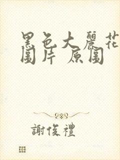 黑色大丽花真实图片 原图