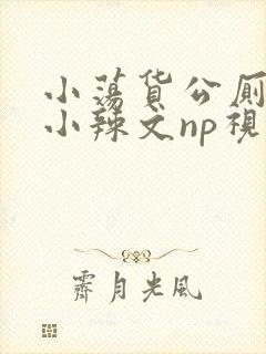 小荡货公厕h文小辣文np视频