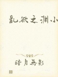 乱欲之渊小说封面