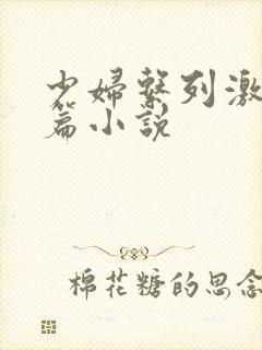 少妇系列激情短篇小说