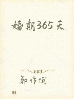 婚期365天封面