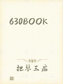 630BOOK封面