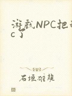 游戏NPC把我c了