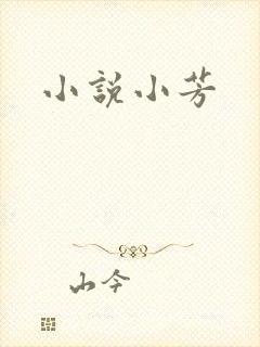 小说小芳