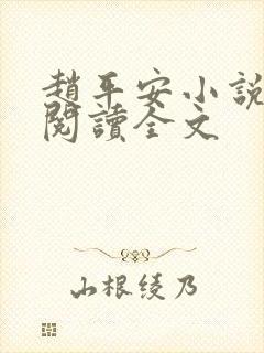 赵平安小说免费阅读全文