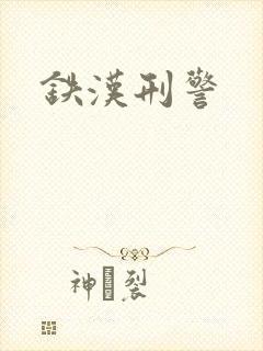 铁汉刑警封面