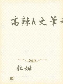 高辣h文笔趣阁