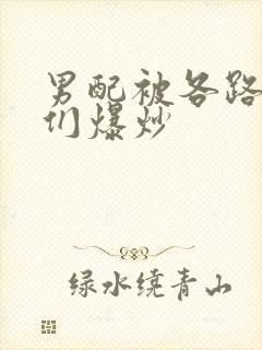 男配被各路大佬们爆炒