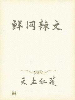 鲜网辣文