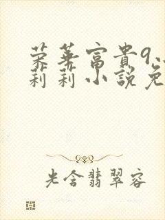 荣华富贵9小王莉莉小说免费阅读封面