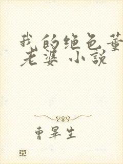 我的绝色董事长老婆 小说