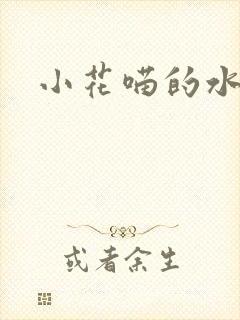 小花喵的水蜜桃