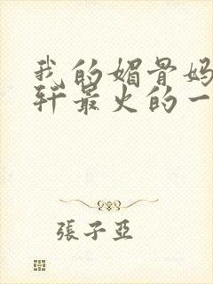 我的媚骨妈妈林轩最火的一句