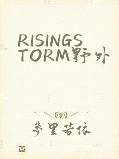 RISINGSTORM野外封面