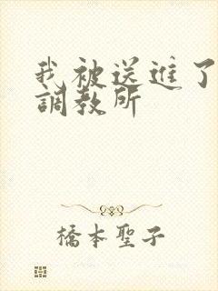 我被送进了私奴调教所