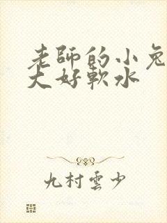 老师的小兔子好大好软水