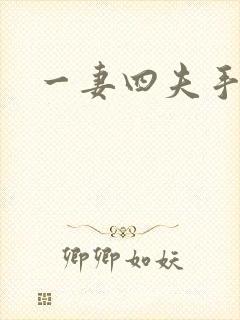一妻四夫手记