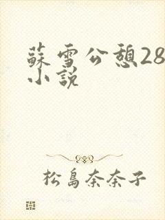 苏雪公憩28篇小说