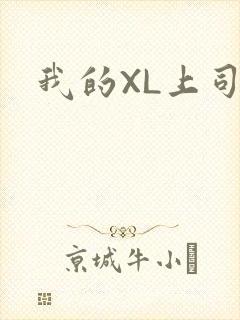 我的XL上司