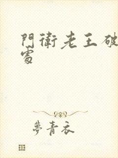 门卫老王破校花处封面