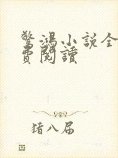 惊鸿小说全文免费阅读