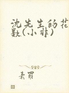 沈先生的花式调数(小非)